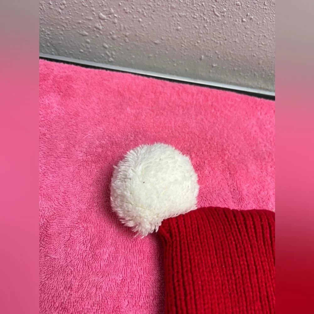 Red and White Dog Christmas Hat